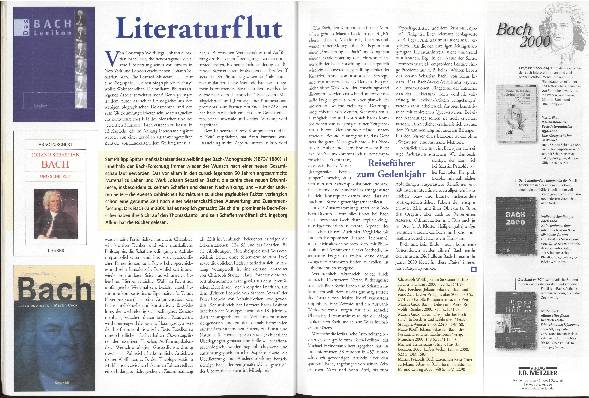 Literaturflut