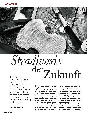 Stradidervaris der Zukunft